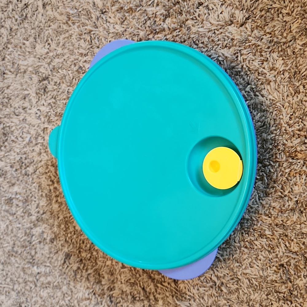 Tupperware CrystalWave Divided Dishes with Lid